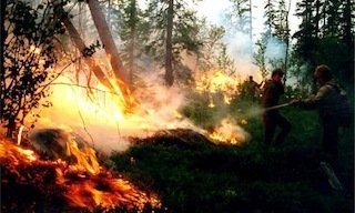 FireS.jpg